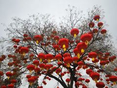 -八大处公园