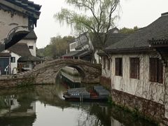 -鲁镇