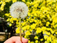 -野鸭湖国家湿地公园