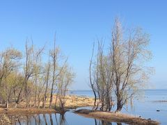 -洱海月湿地公园