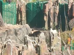 -大连森林动物园熊猫馆纪念品商店