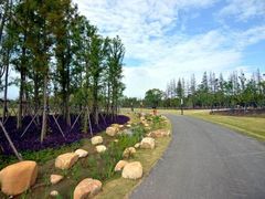 -上海长兴岛郊野公园