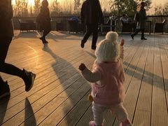 -白鹭湾湿地公园