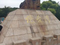 -吴淞炮台湾湿地森林公园烧烤区