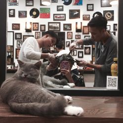 -MARTIN'S BARBER SHOP男士理发馆