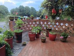 -小洞天柴火土菜馆