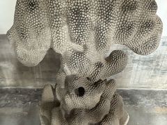 -莲池书院博物馆