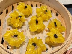 -点都德·毕德寮