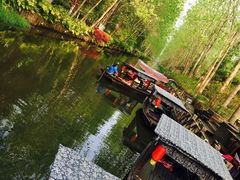 -合肥滨湖国家森林公园