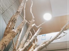 -茶颜悦色(长郡步行街口店)