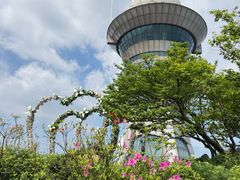 -长沙黑麋峰国家森林公园
