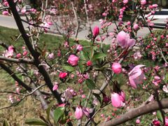 -思念果岭悦温泉