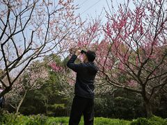 -上海海湾国家森林公园