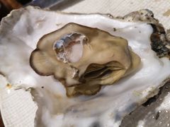 -吉香碳烤生蚝(仙霞路店)