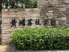 -黄埔荔枝公园