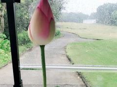 -麓湖高尔夫球俱乐部