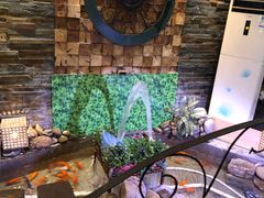 -向阳庄烧烤店(望京西园店)