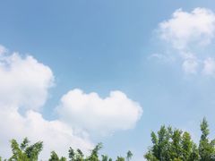 -风云岭森林公园