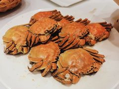 -宝轩渔府·老字号海鲜·正宗津菜(水上店)