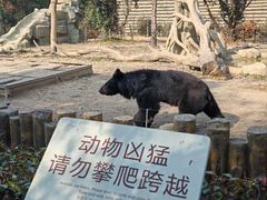 -常州淹城野生动物世界