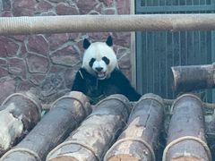 -黔灵山公园