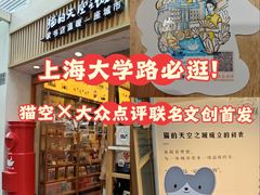 -猫的天空之城概念书店(大学路店)