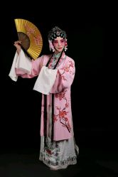 -胭脂猫京剧摄影