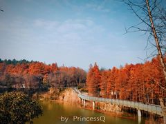 -青山湖景区