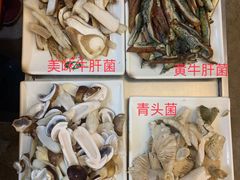 -野菌园·野生菌火锅首创第一家(关兴路总店)