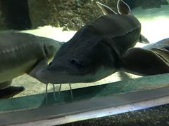 -临沂极地海洋王国