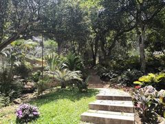 -深圳仙湖植物园