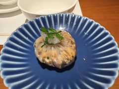 -觀芷隐轩
