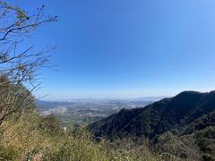 -龙坞茶村