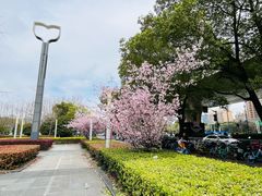 -莲花国际广场