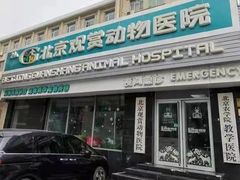 -北京观赏动物医院·24小时大型综合·猫专科·异宠专科