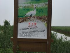 -南大港湿地风景区