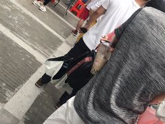 -黄连大头华烧鹅店(大良店)