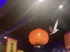 -锦绣金山人家(友谊店)