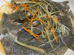 清蒸多宝鱼-东来菜馆•手抓海鲜家常菜•海鲜锅贴(鸽子窝店)