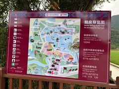 -靖西鹅泉风景区