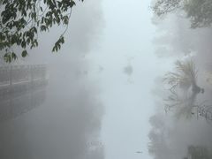 -云南屏边大围山国家公园