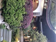 -十八棵（老龙井）御茶园(老龙井店)