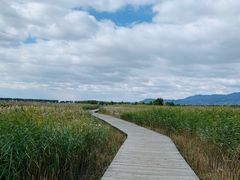 -野鸭湖国家湿地公园