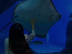 -福州罗源湾海洋世界旅游区