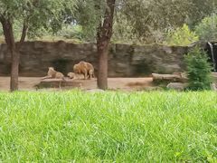 -北京野生动物园