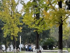 -四川大学(望江校区)
