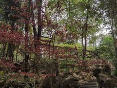 -成都杜甫草堂博物馆