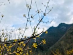 -黑河国家森林公园