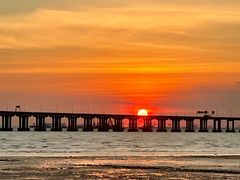 -宝安西湾红树林湿地公园