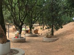 -泉州海丝野生动物世界